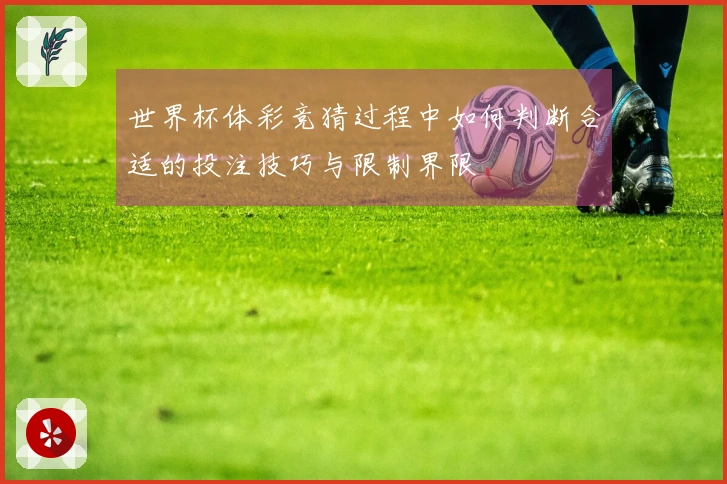 世界杯体彩竞猜过程中如何判断合适的投注技巧与限制界限