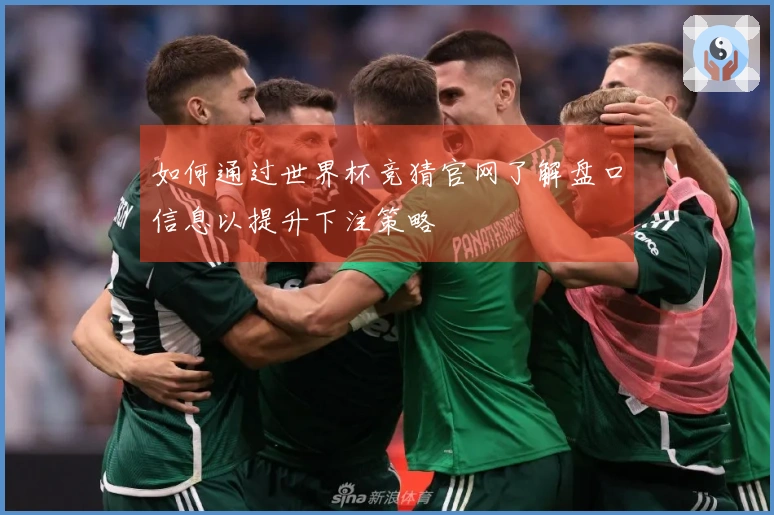如何通过世界杯竞猜官网了解盘口信息以提升下注策略